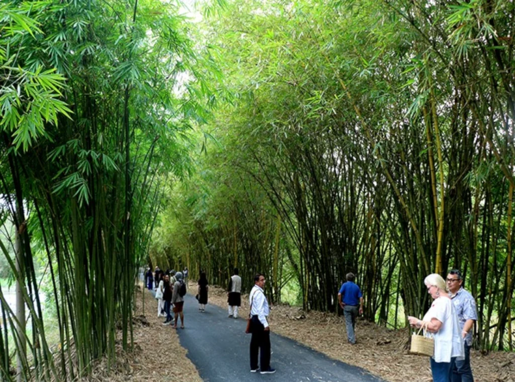 Gao Giong Eco-Tourism Area. Mekong Delta