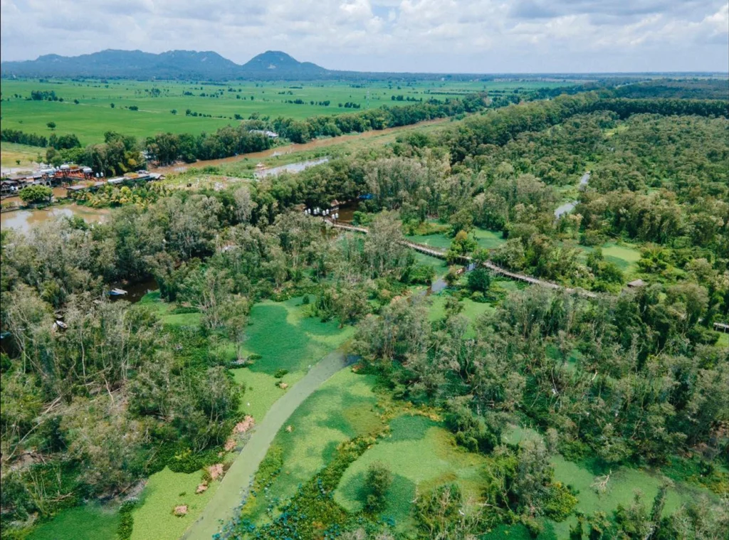 Mekong Delta: An Giang province, Tra Su Cajuput Forest