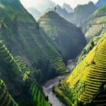 Best Time to Visit Vietnam: A Month-by-Month Climate Guide