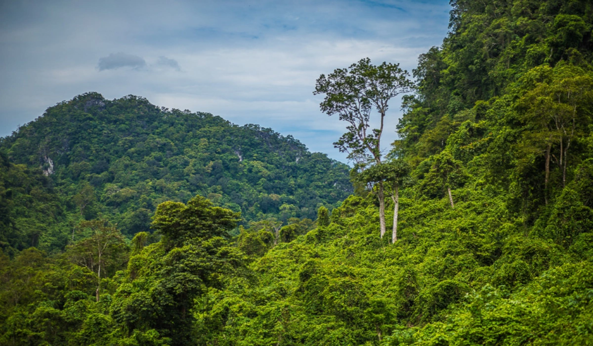 Exploring Vietnam’s 7 National Parks